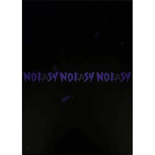 STRAY KIDS : NOEASY 2ND ALBUM VERSION B (STANDARD VERSION)