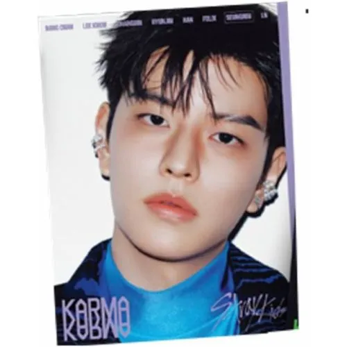 Stray Kids : KARMA (Seungmin ACCORDION ver.) occ
