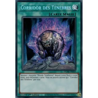 Carte Yu-Gi-Oh! : Corridor des Ténèbres 1ère Édition (DUNE-FR059) Secret Rare occ
