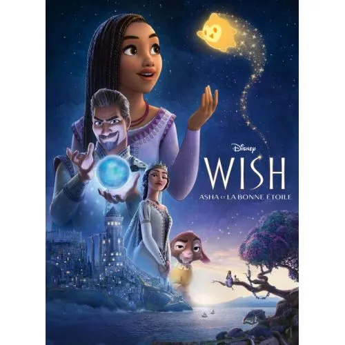 Affiches Cinéma : Wish Asha et la Bonne Étoile (2023) (40x60cm) occ