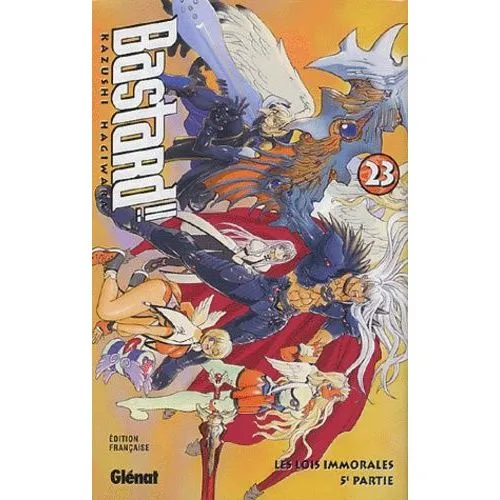 BASTARD!! TOME 23 OCC