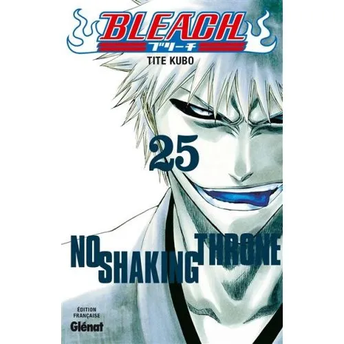 Bleach Tome 25 occ