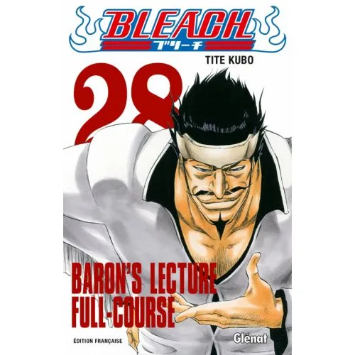 Bleach Tome 28 occ
