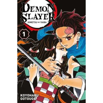 Demon Slayer Tome 1 occ
