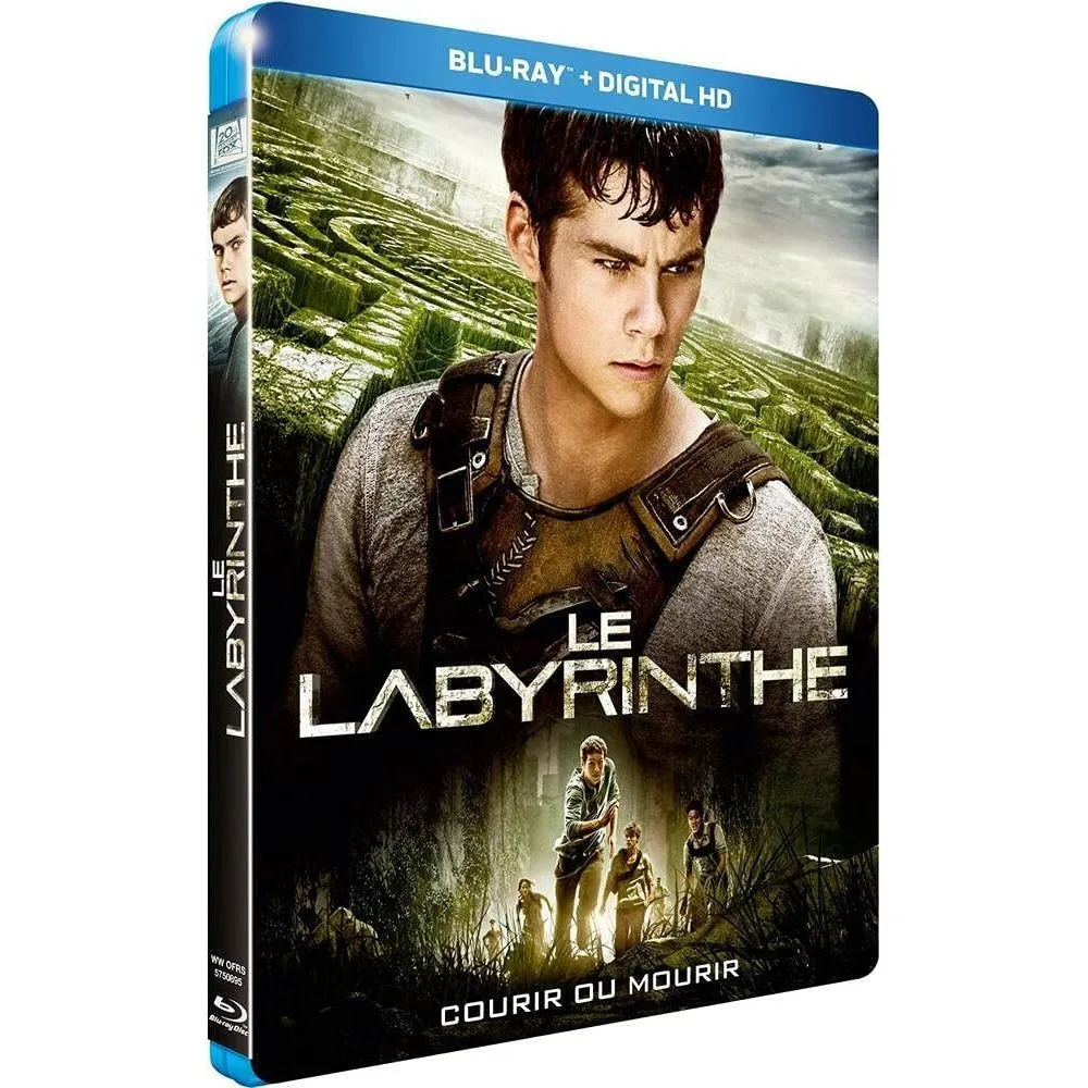 Le Labyrinthe occ