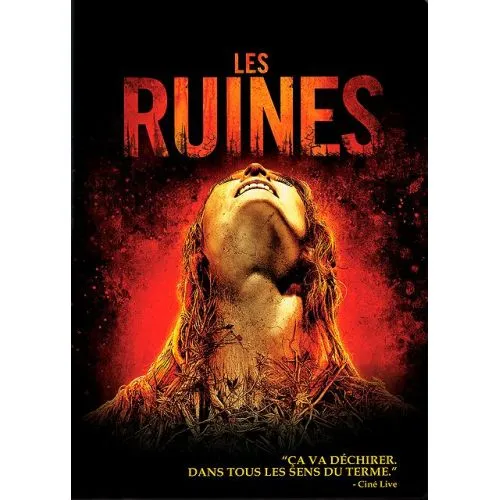 LES RUINES OCC
