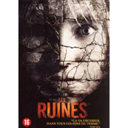 LES RUINES OCC – Image 2