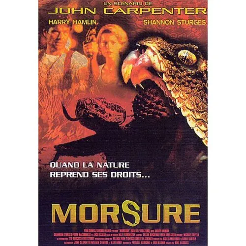 Morsure occ