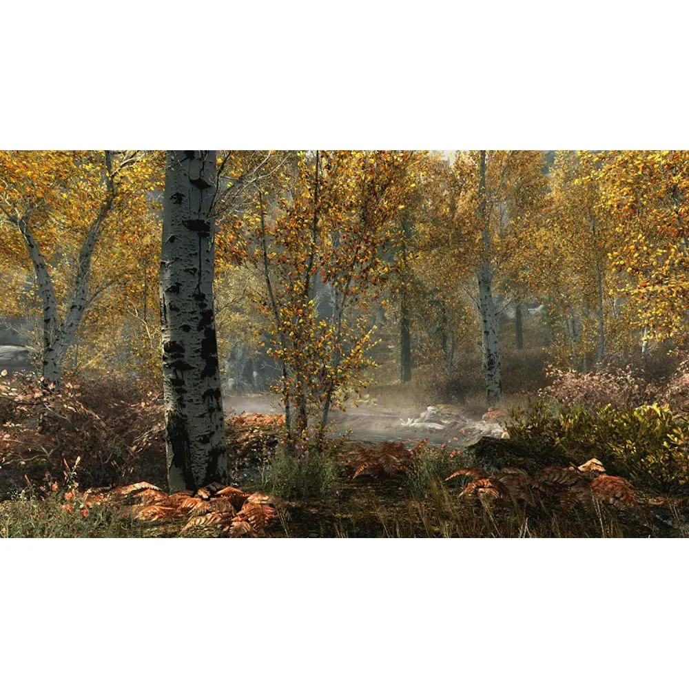 THE ELDER SCROLLS V SKYRIM (FRA) OCC – Image 2