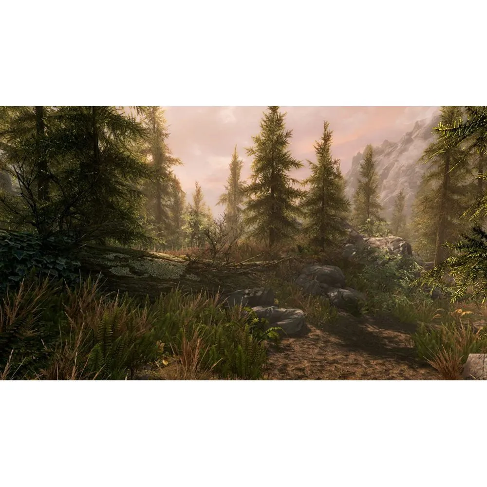 THE ELDER SCROLLS V SKYRIM (FRA) OCC – Image 3