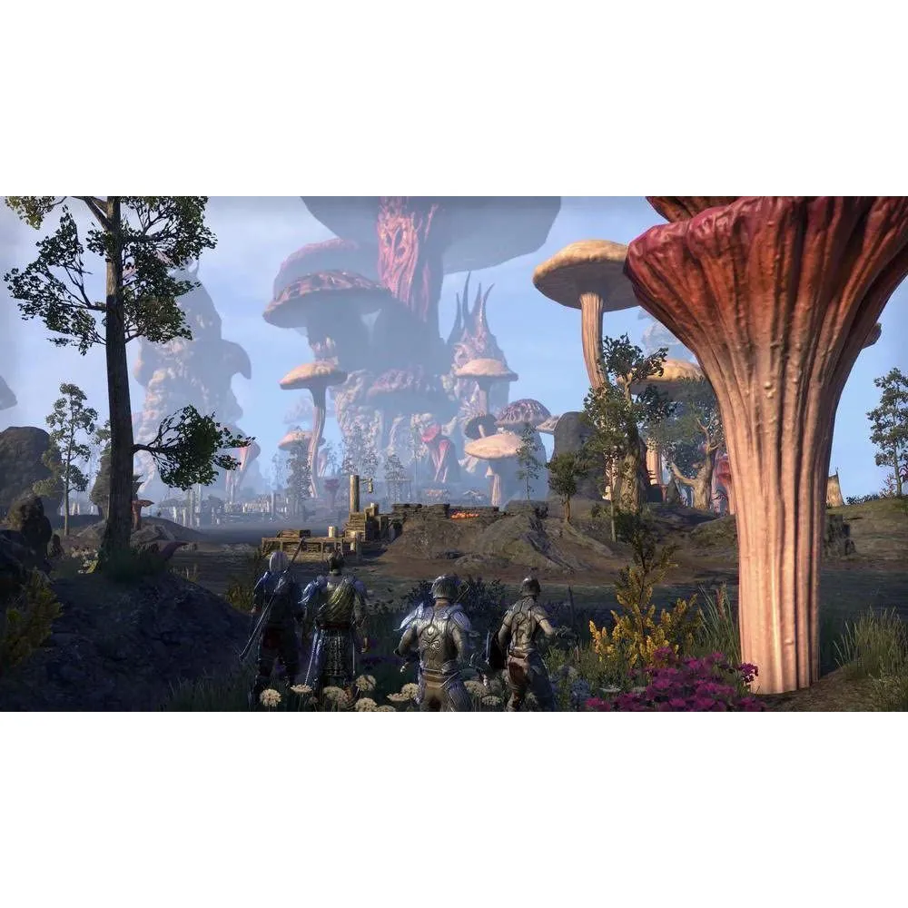THE ELDER SCROLLS ONLINE MORROWIND (FRA) OCC – Image 4