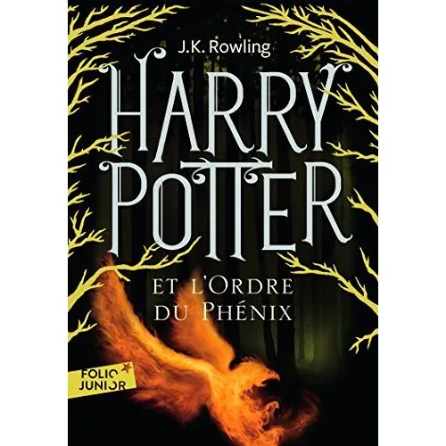 HARRY POTTER ET L ORDRE DU PHENIX OCC