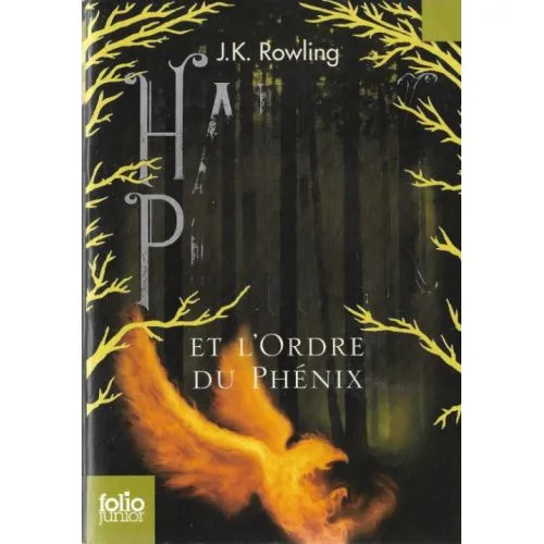 HARRY POTTER ET L ORDRE DU PHENIX OCC – Image 2