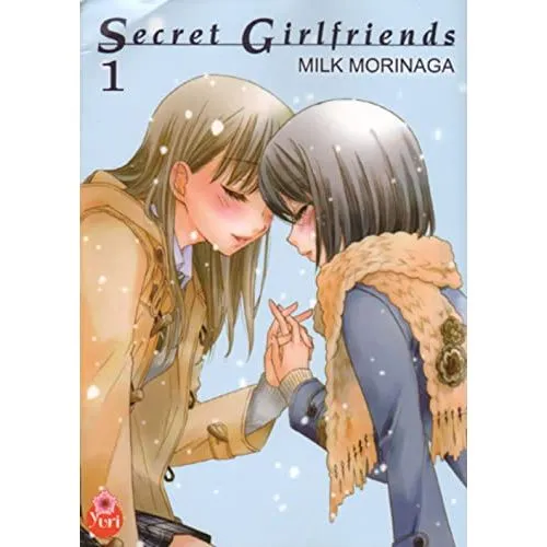 SECRET GIRLFRIENDS TOME 1 OCC