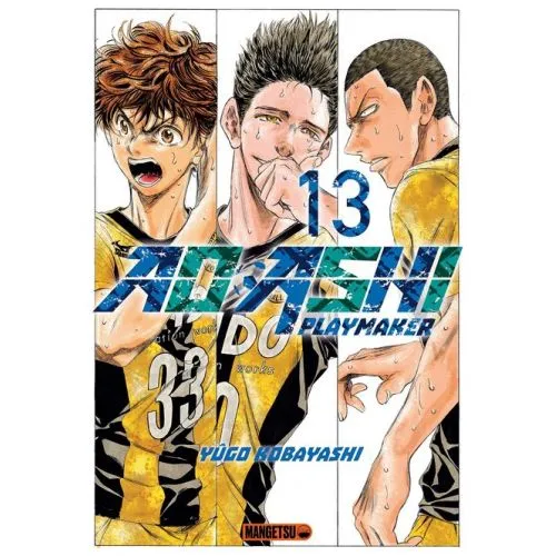 AO ASHI TOME 13