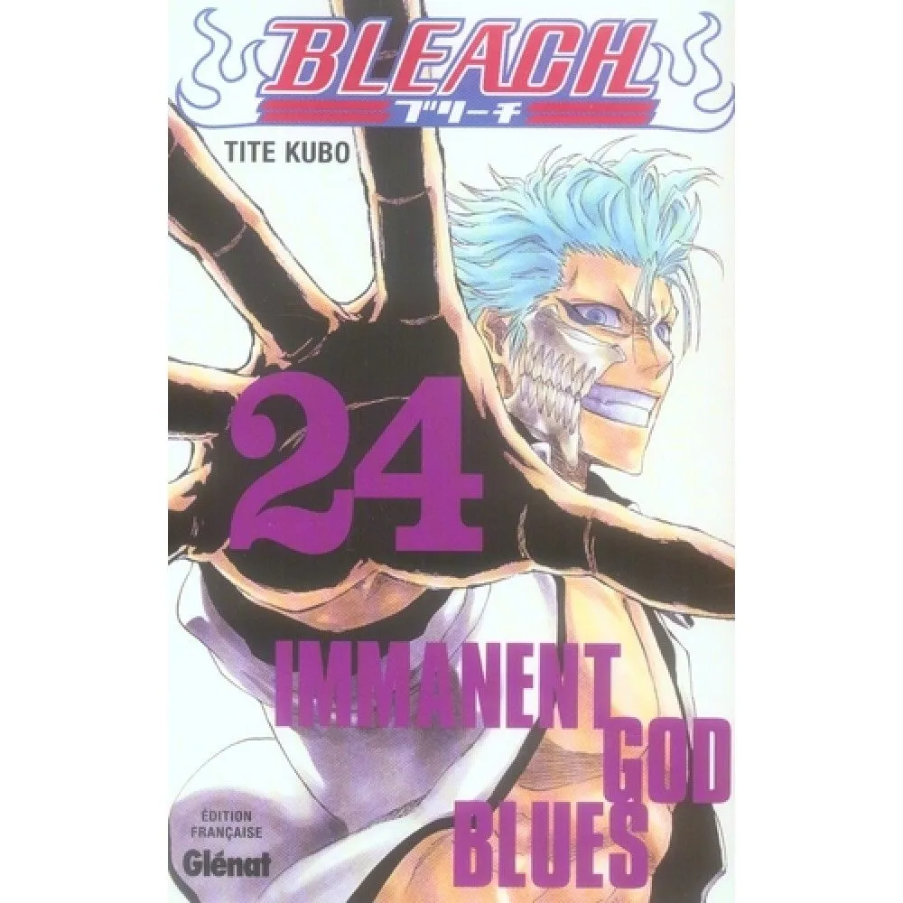 BLEACH TOME 24