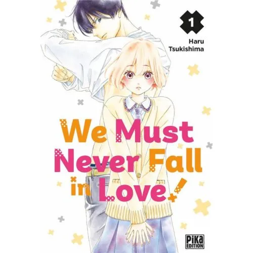 WE MUST NEVER FALL IN LOVE TOME 1