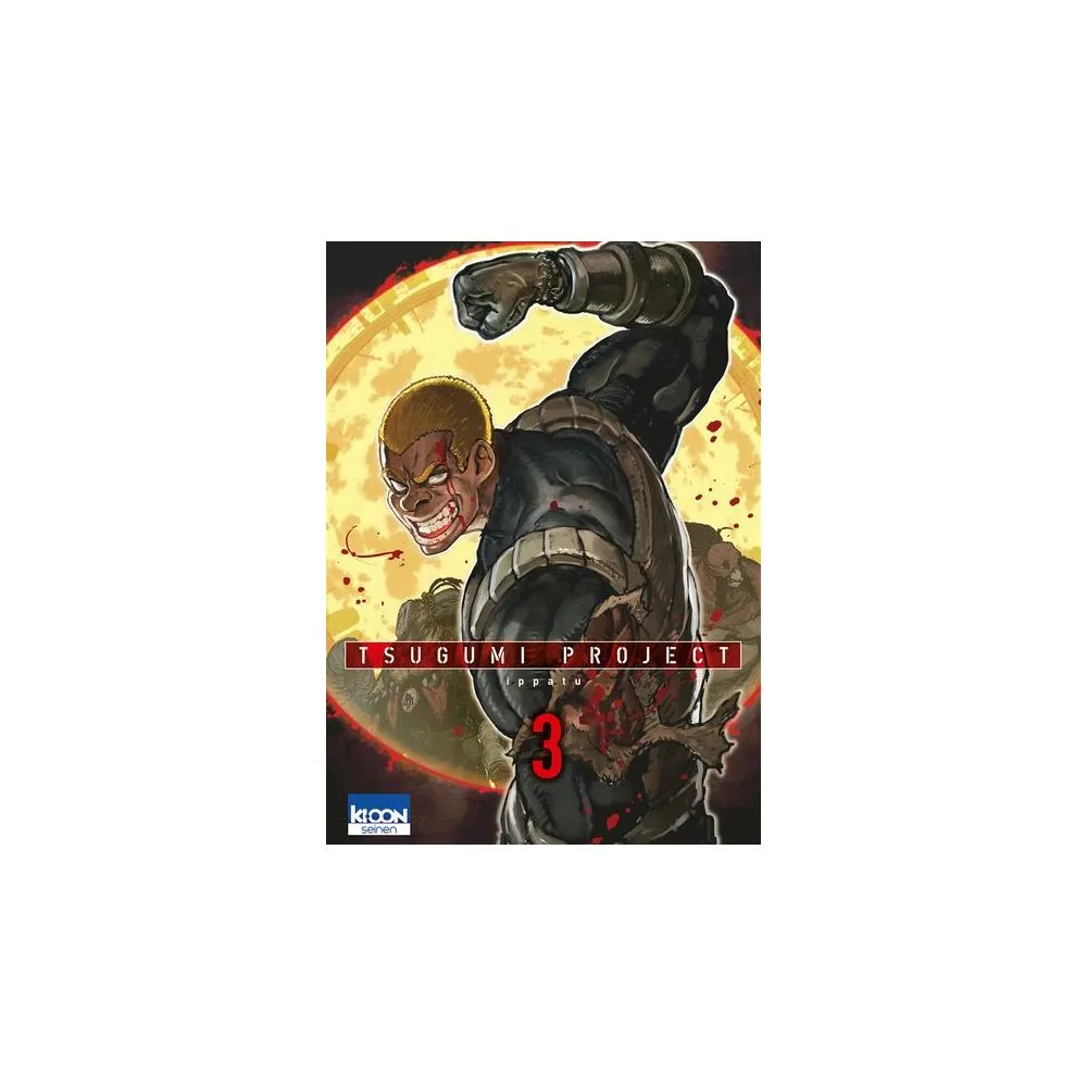 TSUGUMI PROJECT TOME 3